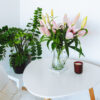 Office Decor & Accessories